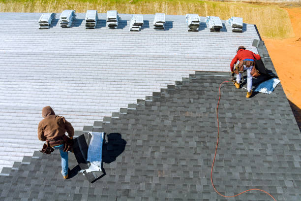 Best Storm Damage Roof Repair  in Pisgah, AL